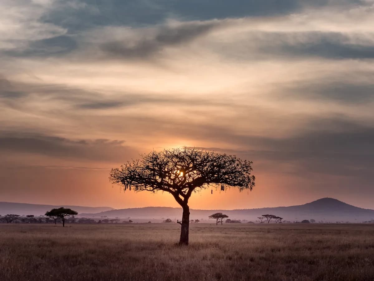 Nairobi